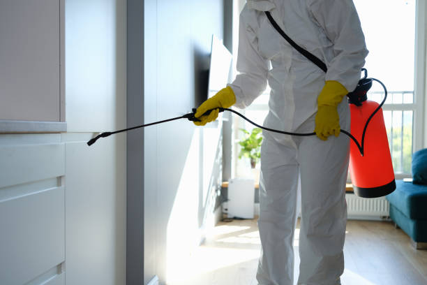Best Mold Testing  in Port Gibson, MS